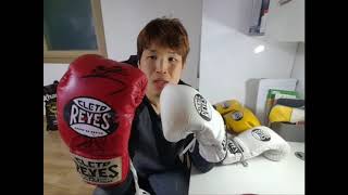 레예스 훅amp룹 트레이닝용글러브 리뷰 Cleto Reyes Hook and Loop Boxing Gloves [upl. by Arron]