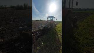 Orka zimowa ursusem c355🔥 foryou viralvideo dlaciebie trending agriculture shrots short fyp [upl. by Nynahs]