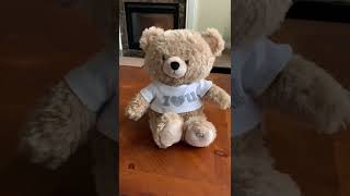 Skinny Marinky Dinky Dink  I Love You Singing Teddy Bear Hallmark [upl. by Deina]