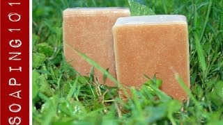 How to Make Jewelweed Soap for poison ivy S2W20 [upl. by Ecnerwal]