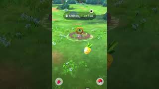 Meltan Extravaganza Pokémon GO [upl. by Ceil403]