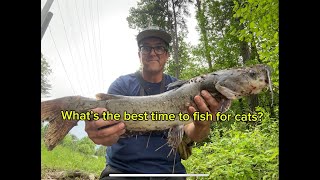 Catfish after a storm BONUS Red beans and rice and catfish nuggets [upl. by Shaine423]