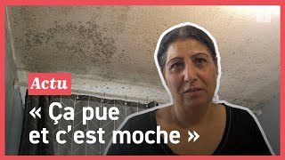 Moisissure et infiltrations deau pourrissent la vie des habitants de ces logements sociaux à Vannes [upl. by Ekle]