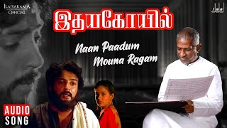 பாதை தெரியாத ஆட்டைப் போல  pathai theriyatha aatai pola Tamil Christian Songs  Eva One Day Moses [upl. by Arnuad]