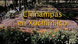 Chinampas en Xochimilco [upl. by Anrahc284]