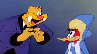 Woodys Dinner Disguise  25 Hours of Classic Episodes of Woody Woodpecker [upl. by Dituri]