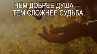 📝Чем добрее душа  тем сложнее судьба…141124 [upl. by Llennoc]