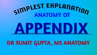 APPENDIX  ANATOMY [upl. by Atniuq]