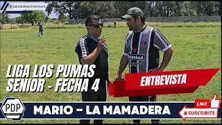 MILAN vs LA MAMADERA ENTREVISTA LIGA LOS PUMAS SENIOR COBERTURA PDP [upl. by Etnohc]