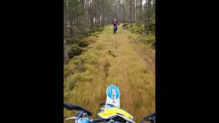 Green Forest Enduro dirtbike insta360 endurolife [upl. by Aiyekal]