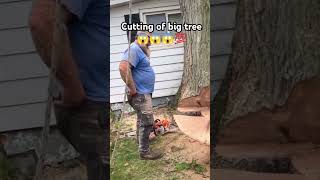 Tree Cutting with a Pole Saw quotThe Best Chainsaw for Tree CuttingquotTree Cutting Tools Essential Gear [upl. by Ollie944]