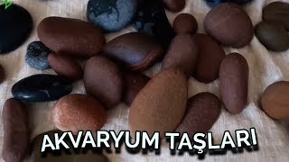 AKVARYUM TAŞLARI akvaryum taşları nasıl temizlenmeli akvaryum balıkları [upl. by Aubree740]