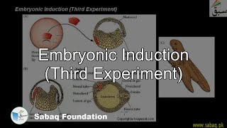 Embryonic Induction Third Experiment Biology Lecture  Sabaqpk [upl. by Noffihc572]