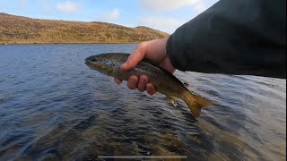 Action Packed Hill Loch Trout Fishing [upl. by Gracye97]