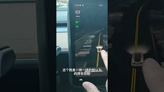 特斯拉的自动泊车功能实地演示auto park 特斯拉 电车 自动驾驶 [upl. by Carolle]