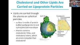 Steroids and SterolsBiochemistry I30 [upl. by Eihtak]