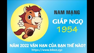 XEM TỬ VI TUỔI GIÁP NGỌ 1954 NAM MẠNG NĂM 2022 Nhâm Dần [upl. by Gault]