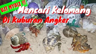 Uji Nyali Mencari Kelomang Di Kuburan Angker [upl. by Gnagflow]