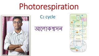 Photo respiration  C2 Cycle  আলোকশ্বসন  Bengali Medium Class Xi [upl. by Ociram145]