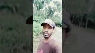 Oh Geete santali short video 2024 [upl. by Dinny702]