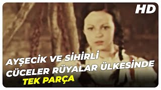 Ayşecik ve Sihirli Cüceler Rüyalar Ülkesinde  Eski Türk Filmi Tek Parça [upl. by Muriel]