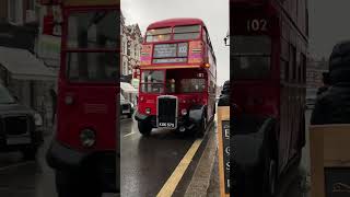 Golders Green amp Muswell Hill Vintage Bus Running Day [upl. by Ybloc]