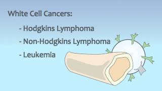 Video 18 Blood and Immune System Disorders [upl. by Esialb]