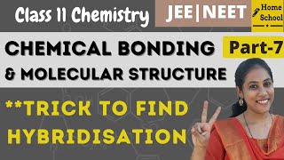 Trick to find Hybridisation  Chemical Bonding class 11  Part 7 [upl. by Armillas]