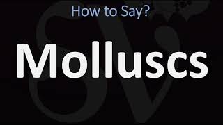 How to Pronounce Molluscs CORRECTLY [upl. by Iat]