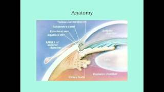 Uveitis  CRASH Medical Review Series [upl. by Doughty]