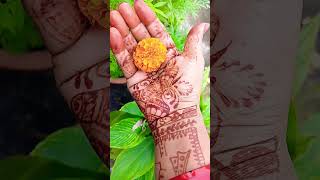 Marigold floweryoutubeshorts happygardeninglife trending viral [upl. by Courtund182]