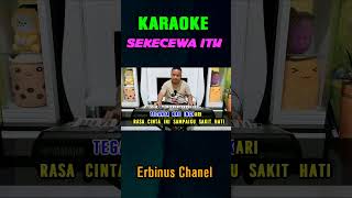 Sekecewa Itu shortvideo karaokeshorts laguviral erbinuschanel hiburankaraoke djremixkaraoke [upl. by Ayanaj40]