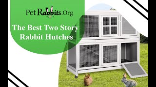 Two Story Rabbit Hutches  Pet Rabbits [upl. by Ynaffik]