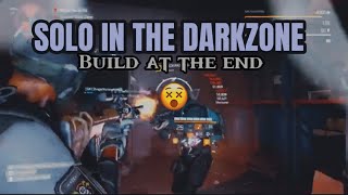 Solo in the Darkzone l Build at the end l HEADSHOT BIG HORN l The Division 2 l TU20 [upl. by Egiedan]