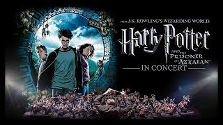 Harry Potter In Concert [upl. by Petromilli]