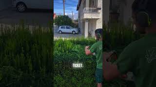 Satisfying Gardening Work🌳garden gardening satisfying cleaning grass lawn viral fyp 199 [upl. by Tore]