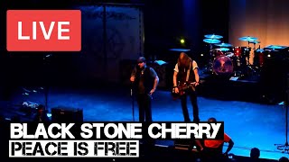 Black Stone Cherry  Peace is Free Live in HD  HMV Forum London 2012 [upl. by Laurene]