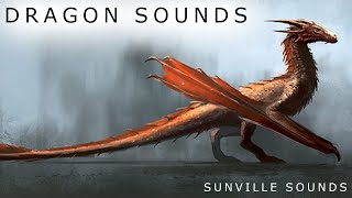 1 Hour of Dragon Sounds  Animal Sounds with Peter Baeten [upl. by Tutt701]