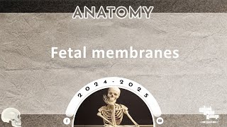 L1516  Fetal membranes  Embryology 8 [upl. by Enirehtakyram397]