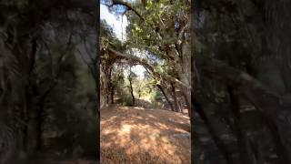 Best camping spot  nature  hiking  walking  fishing  camping  running spot shorts [upl. by Rocher837]