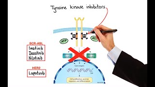 Pharmacology  CANCER DRUGS – CELL CYCLE INHIBITORS MADE EASY [upl. by Kelli]