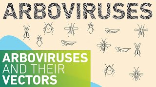 Arboviruses and their Vectors [upl. by Neufer]