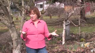 How to Grow a Serviceberry Tree [upl. by Rancell]