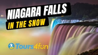 Niagara Falls in the Snow  Tours4Fun [upl. by Elsbeth620]