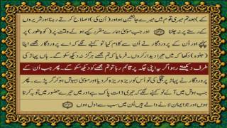 QURAN PARA 9 JUSTONLY URDU TRANSLATION WITH TEXT HD FATEH MUHAMMAD JALANDRI [upl. by Ilrebmik]