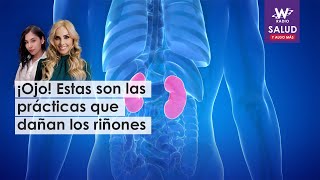 Las prácticas que dañan los riñones y ocasionan la enfermedad renal [upl. by Akcirderf]