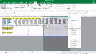 How to use Normal view Page break preview Page layout view Custom view in Microsoft Excel [upl. by Eseilenna332]