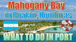 Mahogany Bay  Roatán Honduras  What to Do on Your Day in Port [upl. by Dieterich685]