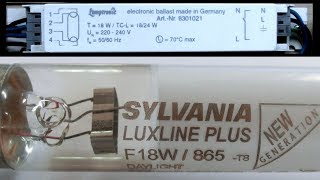 Leuchtstoffröhre mit elektronischem Vorschaltgerät 38565 fps [upl. by Keverne]