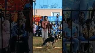 Dog show in vijayawada doglover [upl. by Orag]